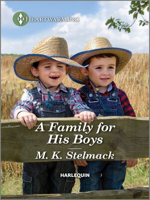cover image of A Family for His Boys